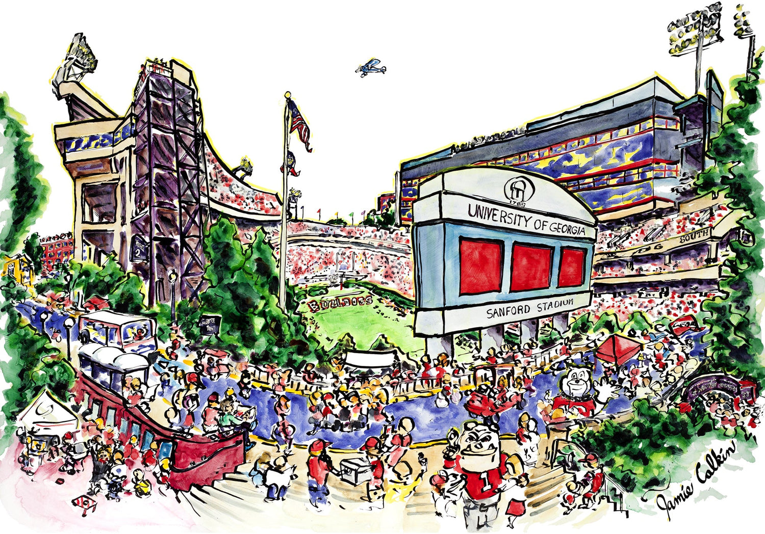 UGA Stadium Fan View