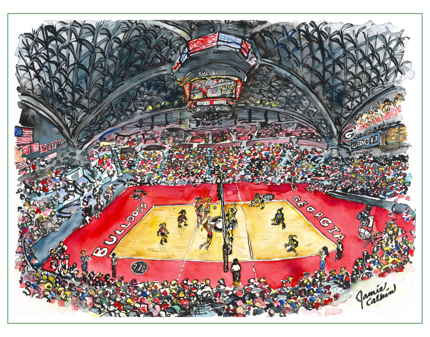 UGA Women's Volleyball at Stegman Colliseum