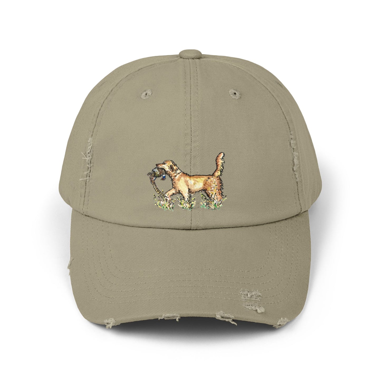 Golden Retriever with Pheasant Cap