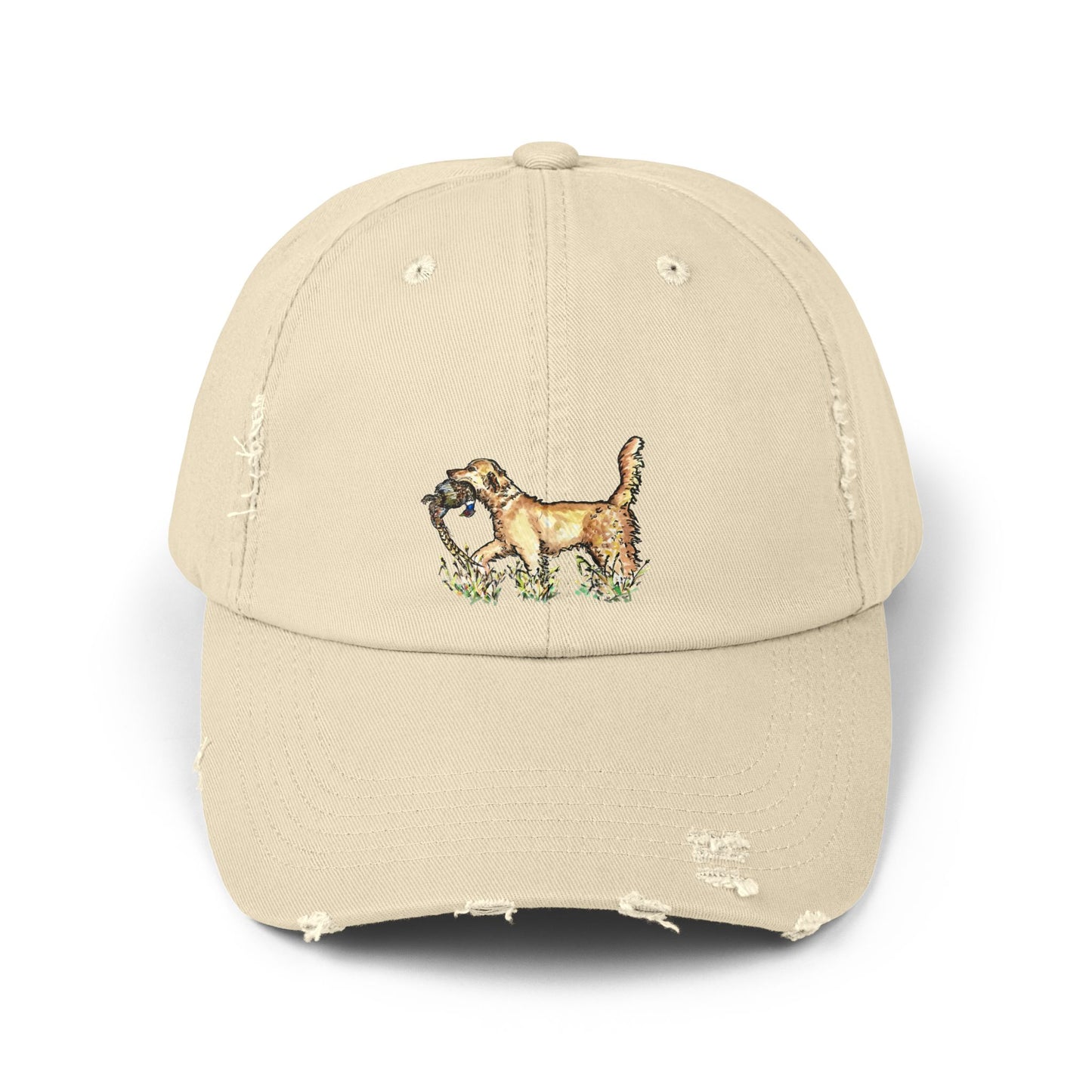 Golden Retriever with Pheasant Cap