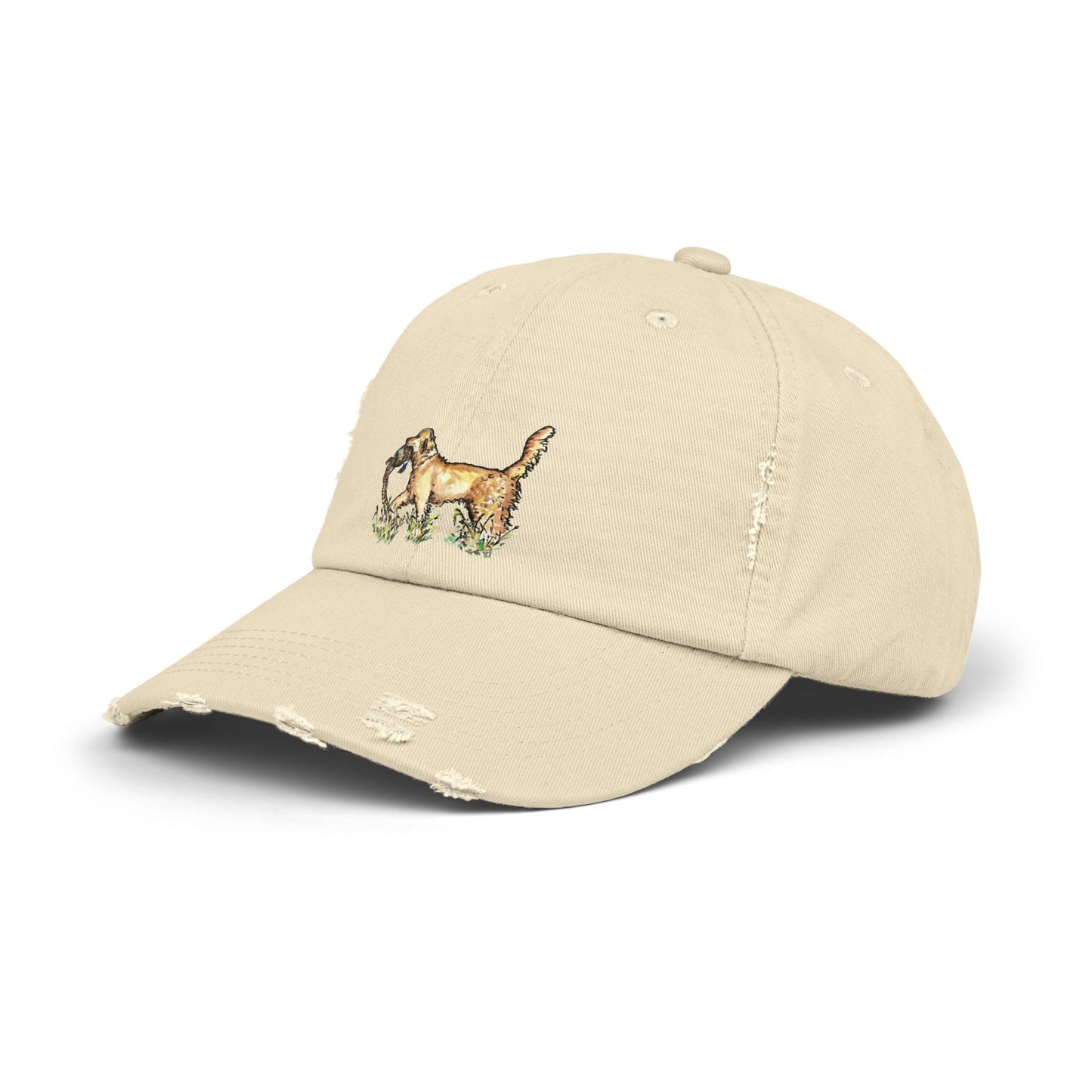 Golden Retriever with Pheasant Cap