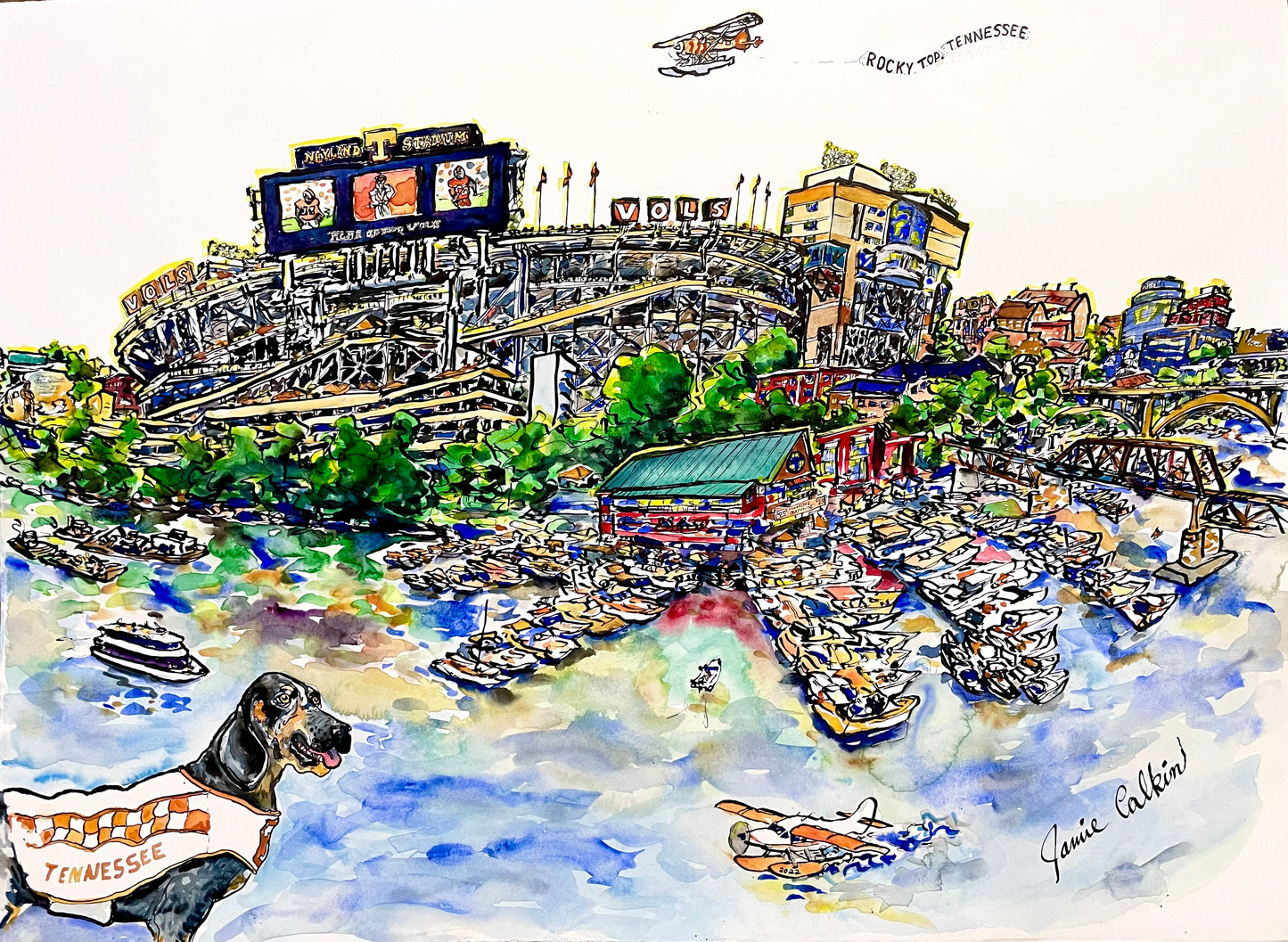 Sailgating at University of Tennesse