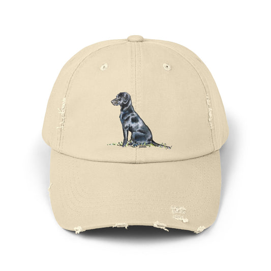 Black Lab Distressed Cap