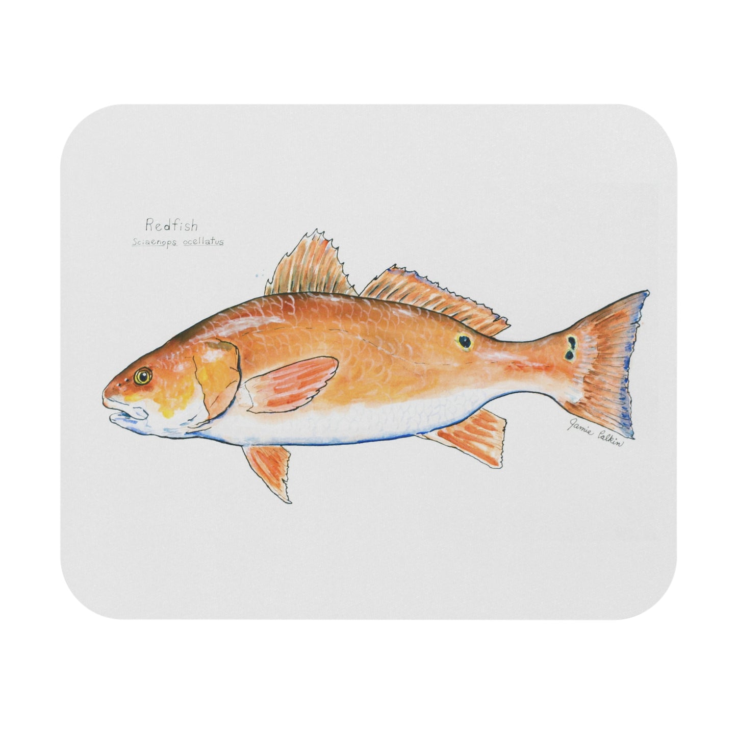 Redfish Mouse Pad