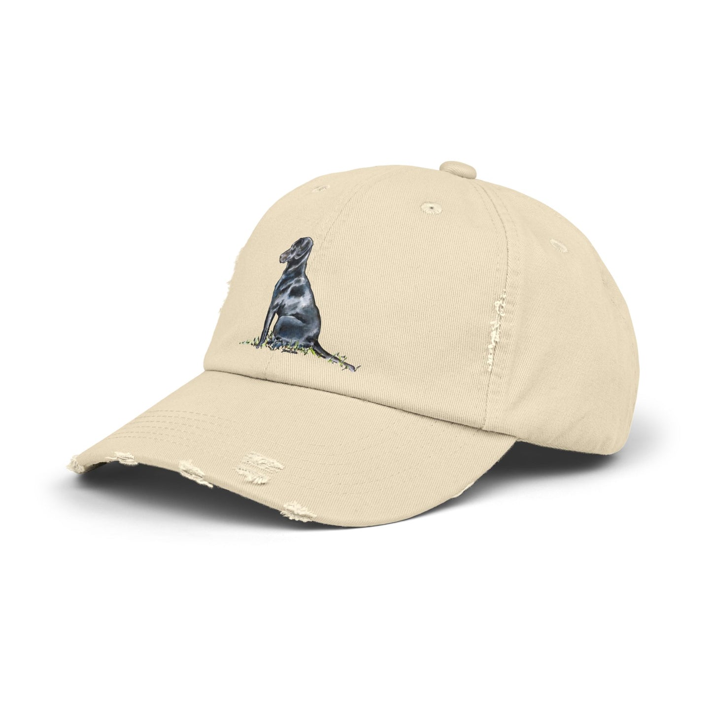 Black Lab Distressed Cap