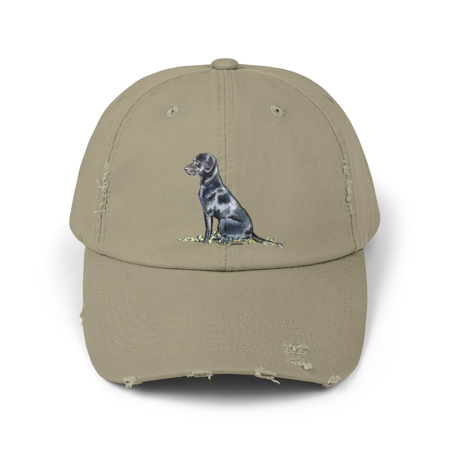 Black Lab Distressed Cap