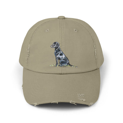 Black Lab Distressed Cap