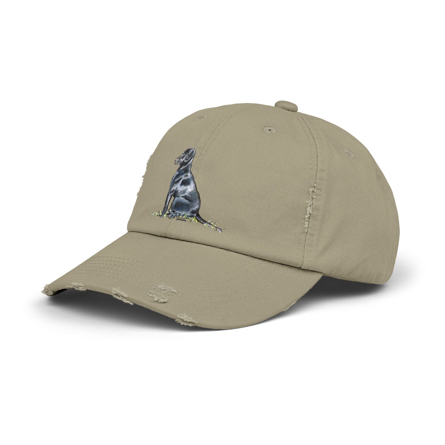 Black Lab Distressed Cap